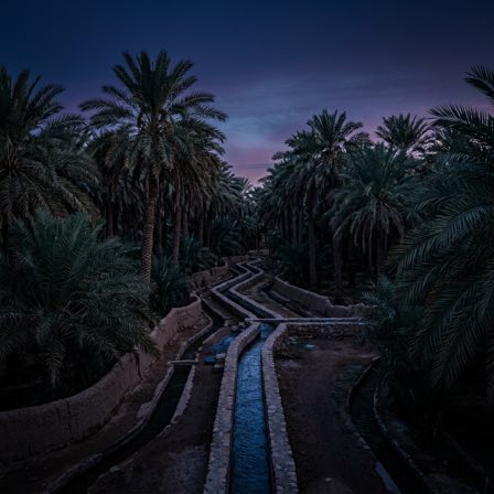 Al Ain Oasis