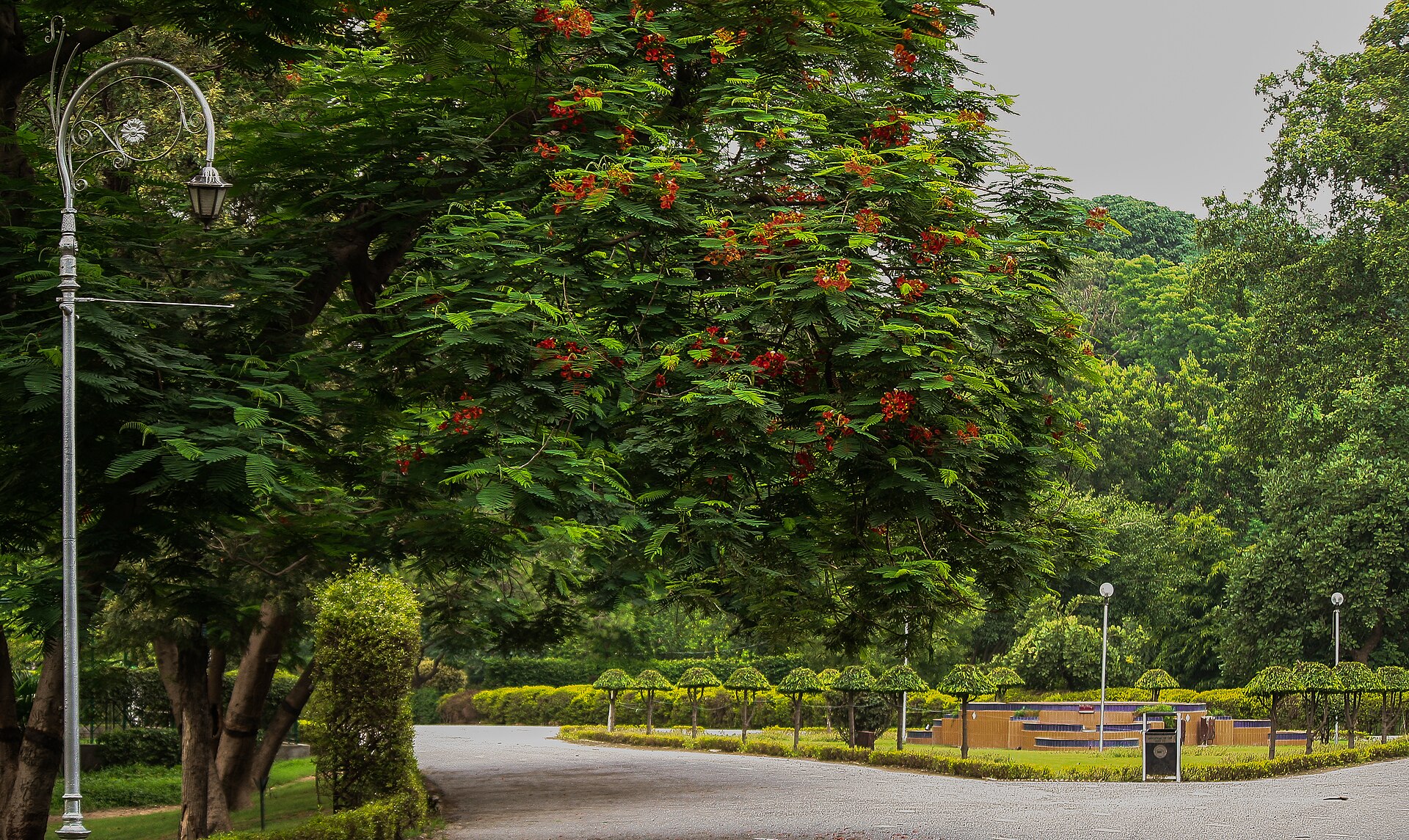 Bagh-e-Jinnah — photograph by Amnagondal, CC BY-SA 4.0, via Wikimedia Commons