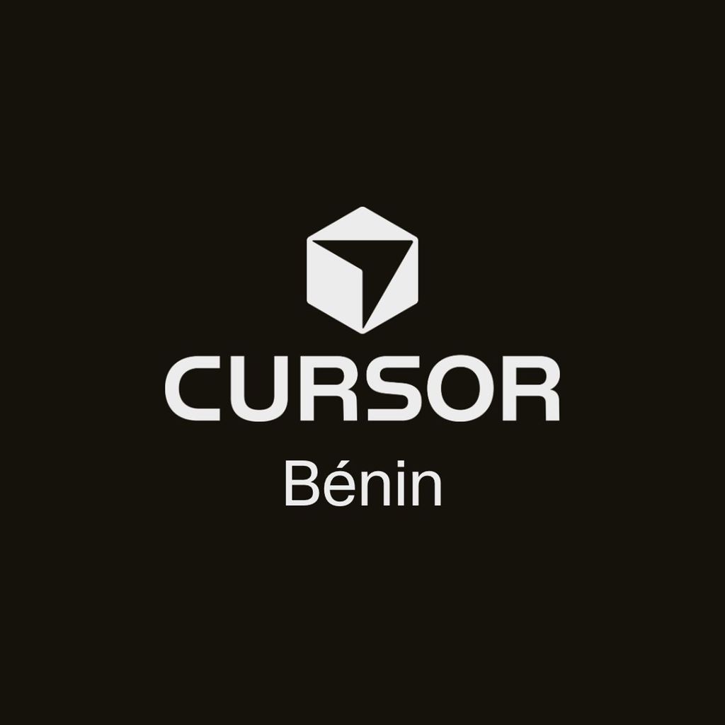 Cursor Bénin Workshop
