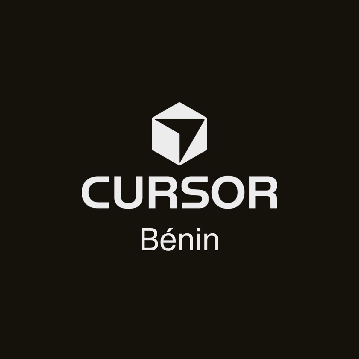 Cursor Bénin Workshop
