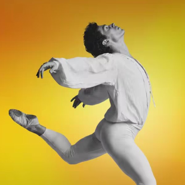 Ivan Vasiliev: The Last Dance