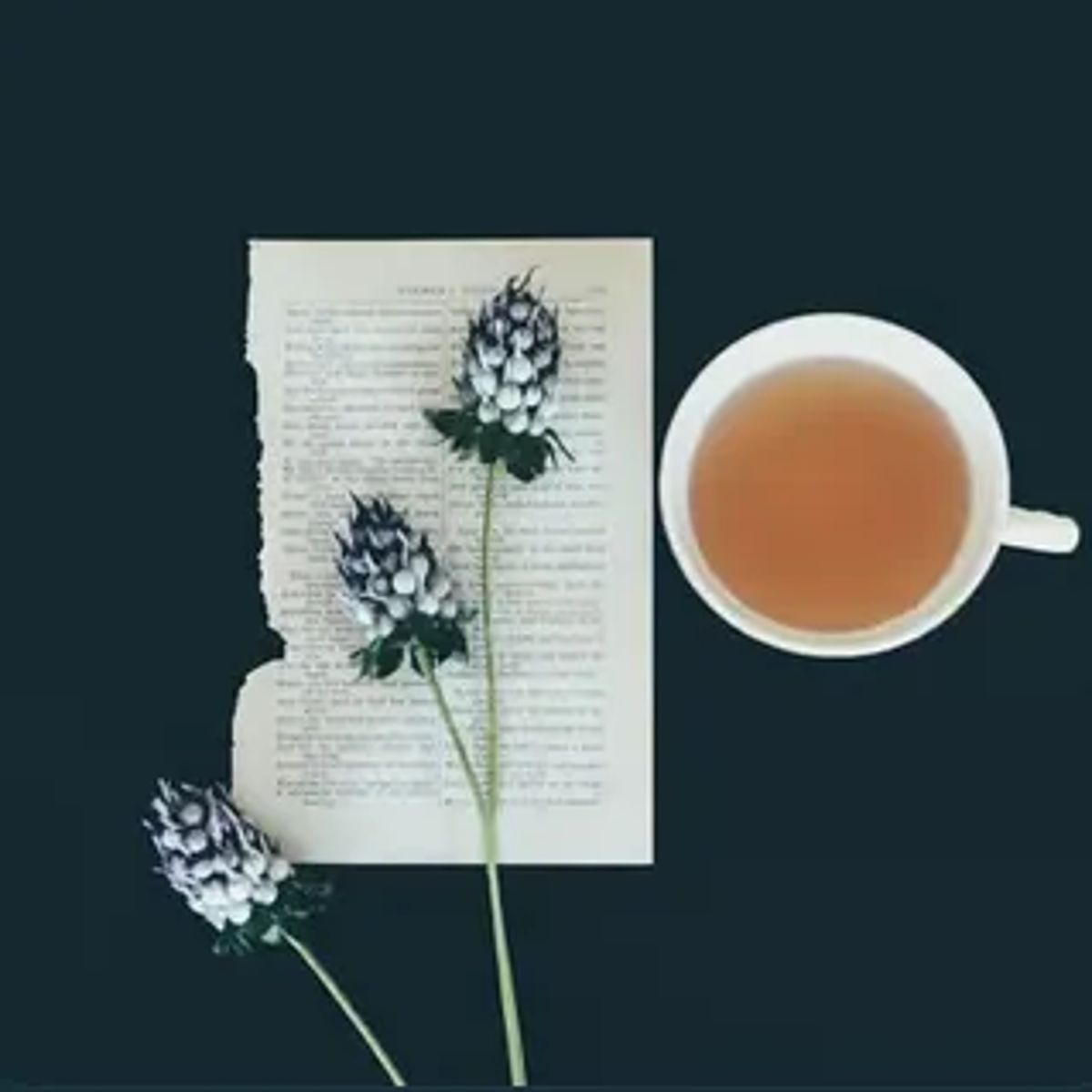 Weekly Accountabili-tea Circle: Reflection & Planning #26 - Members Only