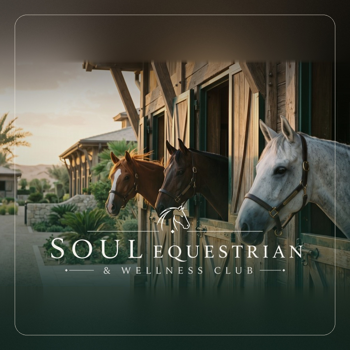 🐴 Grand Opening: SOUL Equestrian & Wellness Club