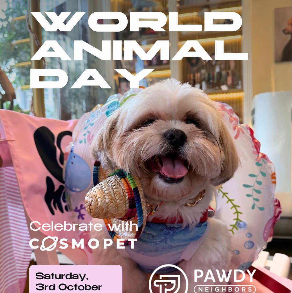 World Animal Day with @cosmopet.ae × @pawdyneighbors 🐾✨