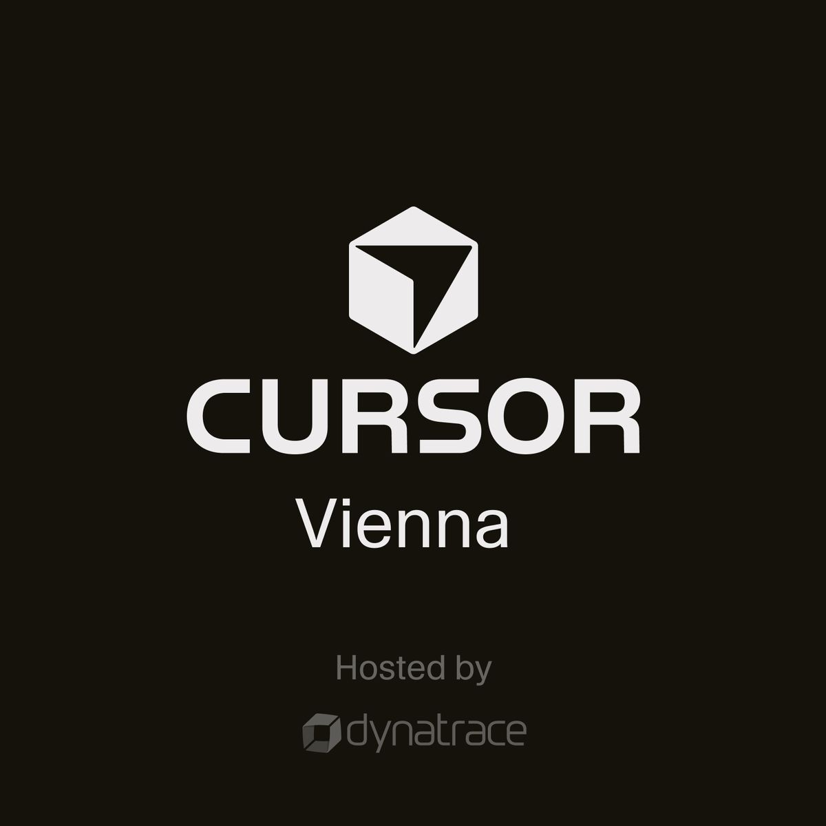 Cursor Meetup Vienna #3