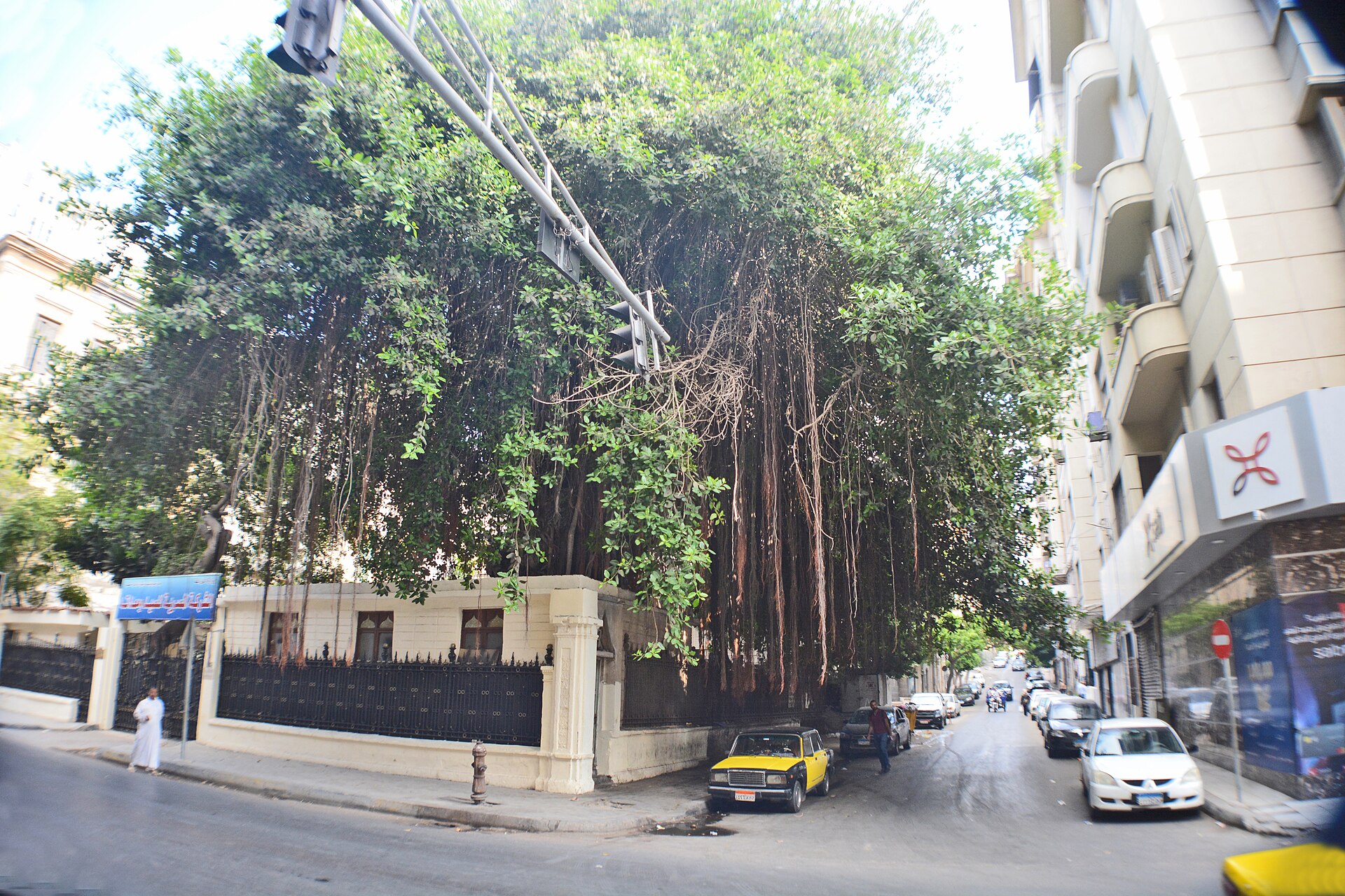 Fouad Street — photograph by Moataz EL-Sharaky, CC BY-SA 4.0, via Wikimedia Commons