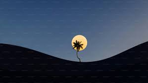 Bonuz Community Experience 2026