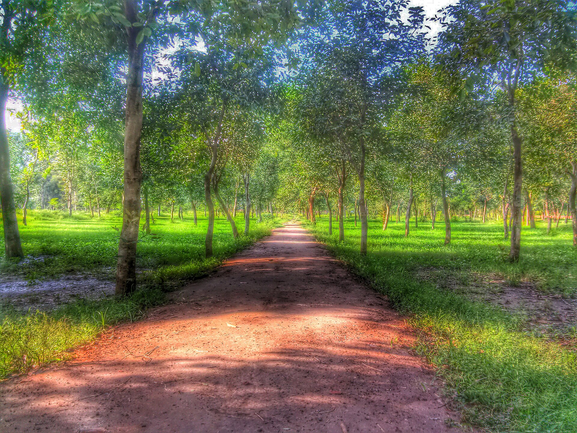 Jallo Park — photograph by Amirshafiquemughal, CC BY-SA 3.0, via Wikimedia Commons