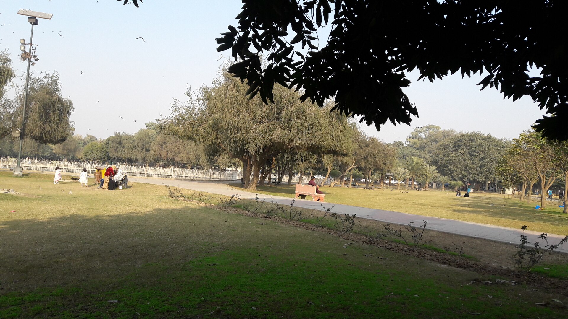 Jilani Park — photograph by Tahir mq, CC BY-SA 4.0, via Wikimedia Commons